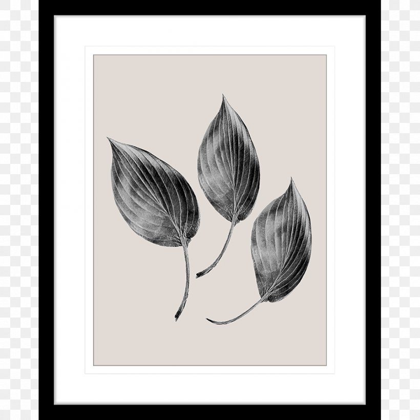 Drawing Petal Visual Arts, PNG, 1000x1000px, Drawing, Art, Artwork, Black And White, Flora Download Free