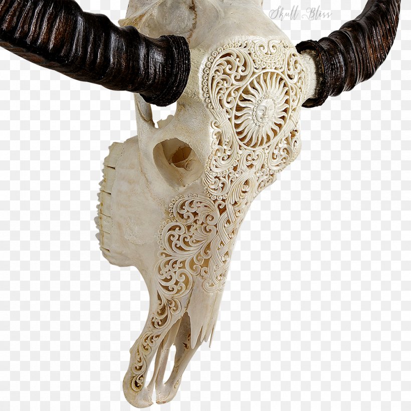 Horn Animal Skulls Bone Cattle, PNG, 1000x1000px, Horn, American Bison, Animal, Animal Skulls, Bone Download Free