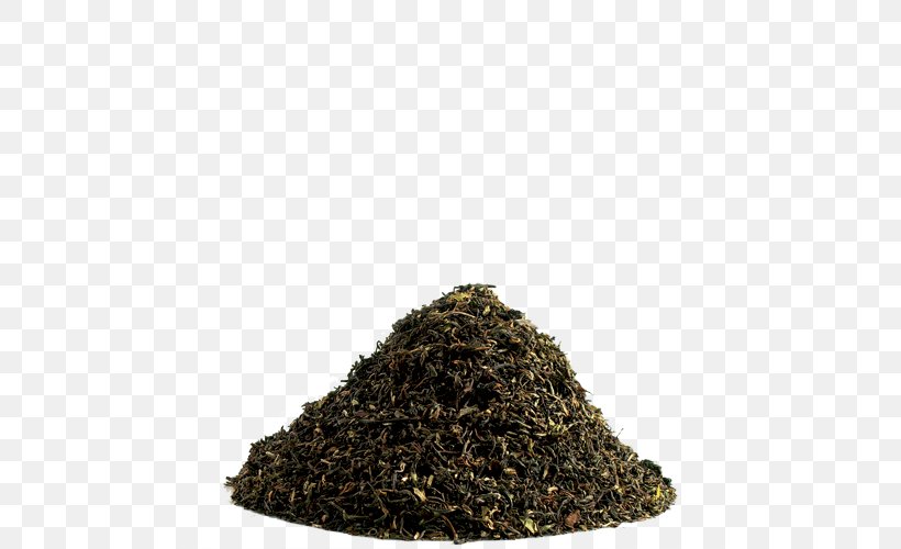 Nilgiri Tea Assam Tea Darjeeling Tea, PNG, 500x500px, Nilgiri Tea, Assam Tea, Bancha, Ceylon Tea, Chun Mee Tea Download Free