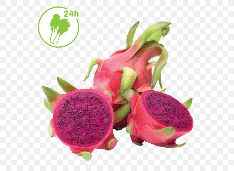 Pitaya Auglis Fruit Hylocereus Red, PNG, 600x600px, Pitaya, Apple, Auglis, Banana, Berry Download Free