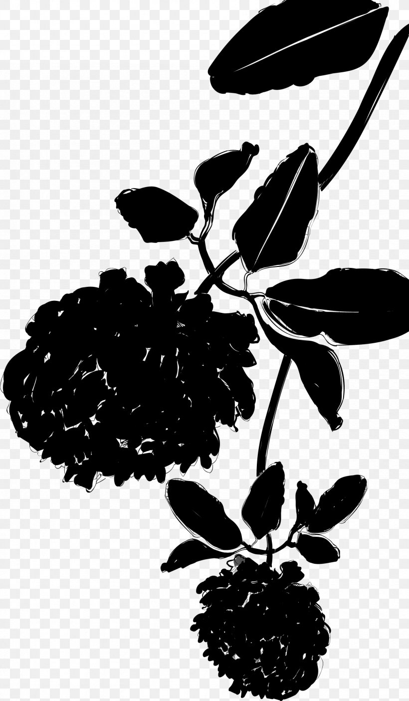 Black & White, PNG, 1664x2852px, Black White M, Blackandwhite, Botany, Branch, Flower Download Free