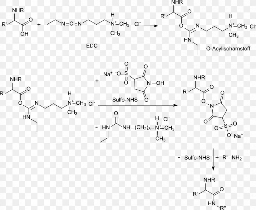 Carboxylic Acid N-Hydroxysuccinimide Carbodiimide N-Hydroxysulfosuccinimide Sodium Salt Ester, PNG, 1245x1024px, Carboxylic Acid, Acid, Area, Black And White, Carbodiimide Download Free