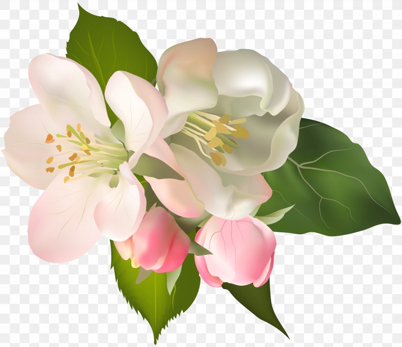 Floral Design Wisgoon Flower Clip Art, PNG, 8000x6909px, Flower, Blossom, Branch, Cut Flowers, Floral Design Download Free