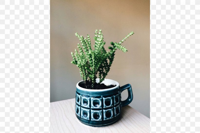 Flowerpot Ceramic Herb Houseplant, PNG, 1024x682px, Flowerpot, Ceramic, Herb, Houseplant, Plant Download Free