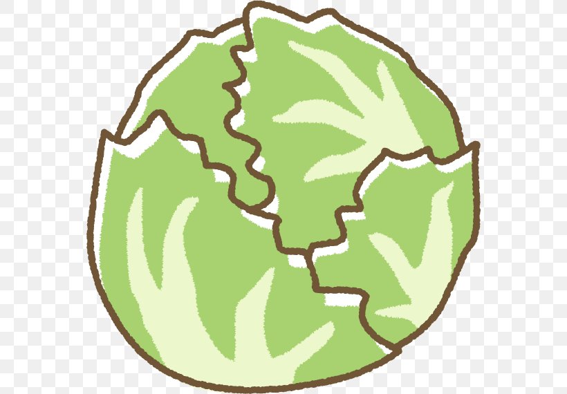 Clip Art Illustration Lettuce Produce Vegetable, PNG, 570x570px, Lettuce, Area, Artwork, Autumn, Book Illustration Download Free