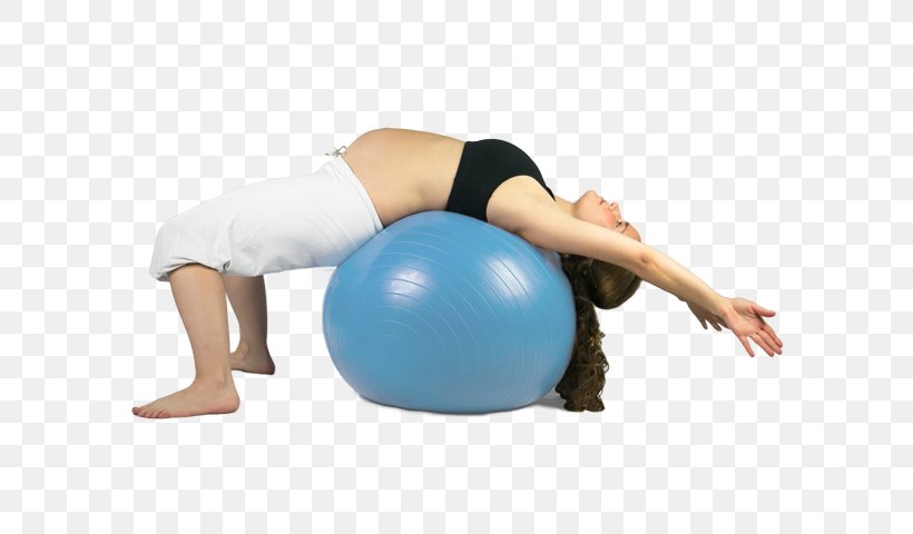 Exercise Balls Pilates Medicine Balls, PNG, 600x480px, Exercise Balls, Abdomen, Arm, Balance, Balance Sheet Download Free