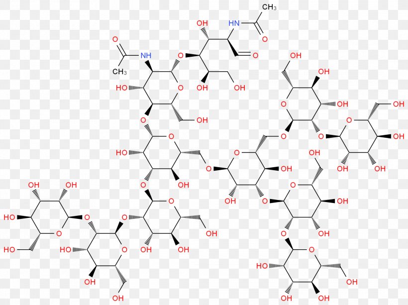 Glycan N-Acetylglucosamine Di(N-Acetyl-D-Glucosamine) Sigma-Aldrich, PNG, 2180x1632px, Glycan, Acetyl Group, Area, Cas Registry Number, Glucosamine Download Free