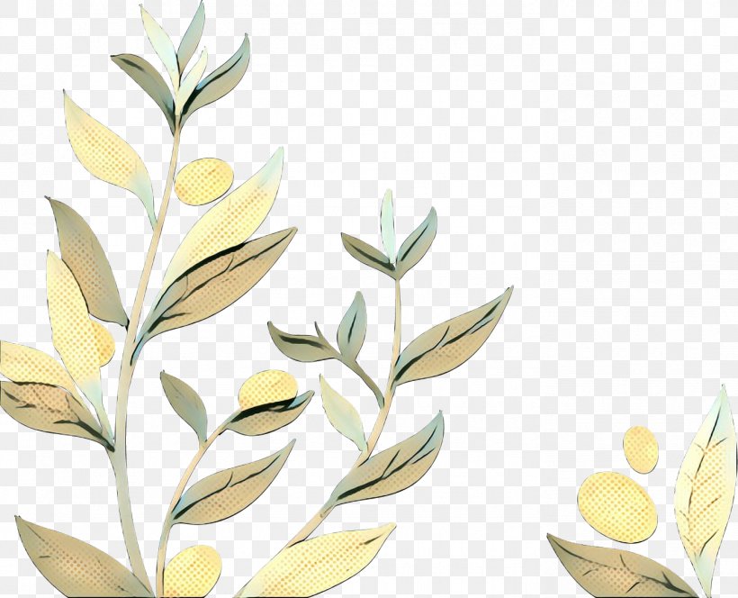 Olive Oil Olive Leaf Image, PNG, 1388x1124px, Olive, Anise, Botany, Flower, Flowering Plant Download Free