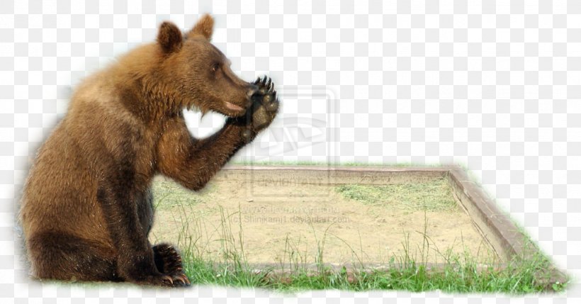 Grizzly Bear DeviantArt Sony Cyber-shot DSC-H10 Brown Bear, PNG, 1236x647px, Grizzly Bear, Art, Bear, Brown Bear, Carnivoran Download Free