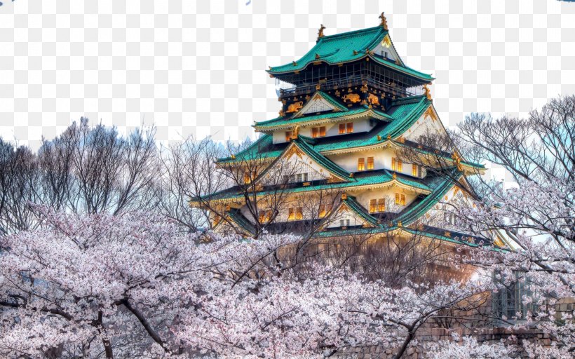 Osaka Castle Himeji Castle Namba Du014dtonbori Chxe2teau Miranda, PNG, 1920x1200px, Osaka Castle, Branch, Building, Castle, Cherry Blossom Download Free
