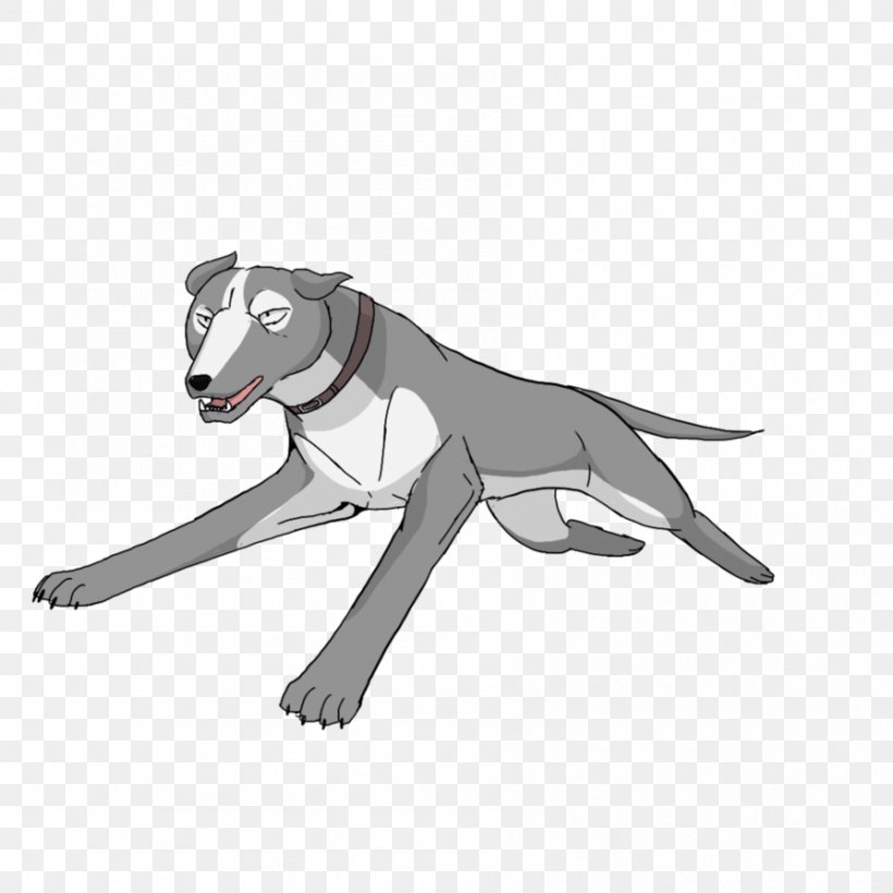 Dog Canidae Snout Sporting Goods, PNG, 894x894px, Dog, Animated Cartoon, Canidae, Carnivoran, Cartoon Download Free