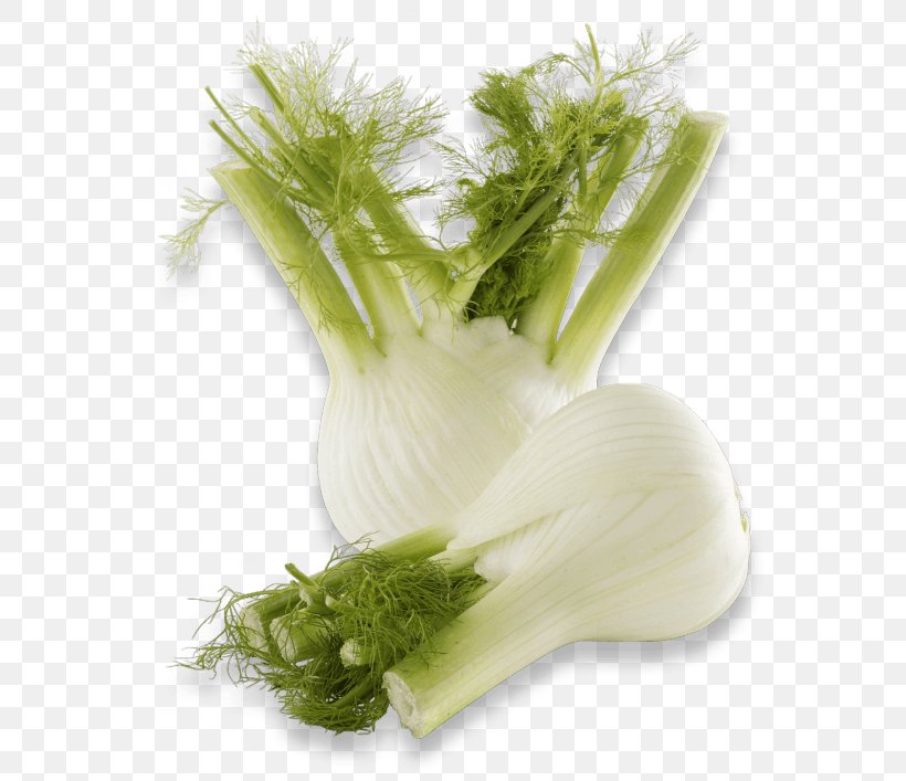 Fennel Vegetable Parsley Roots Fruit Greens, PNG, 580x707px, Fennel, Film, Fruit, Greens, Herb Download Free