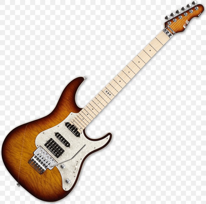 Ibanez RG ESP LTD EC-1000 Fender Stratocaster Electric Guitar, PNG, 934x927px, Ibanez Rg, Acoustic Electric Guitar, Bass Guitar, Bolton Neck, Electric Guitar Download Free