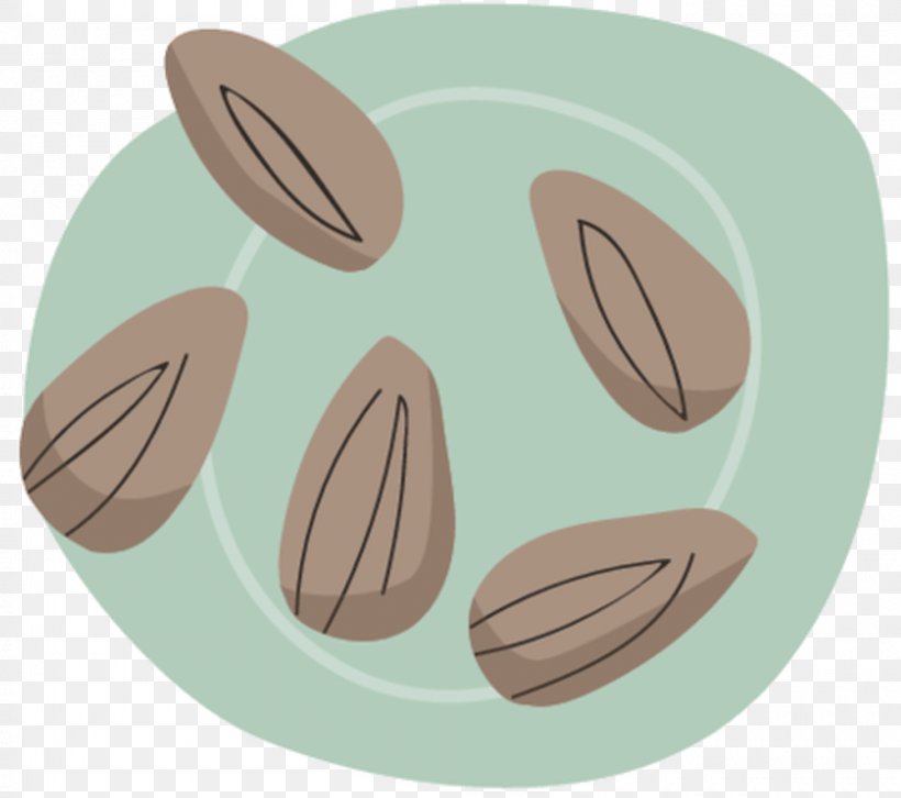 Illustration Almond Download Euclidean Vector Photography, PNG, 1000x886px, Almond, Almond Meal, Brown, Dishware, Food Download Free
