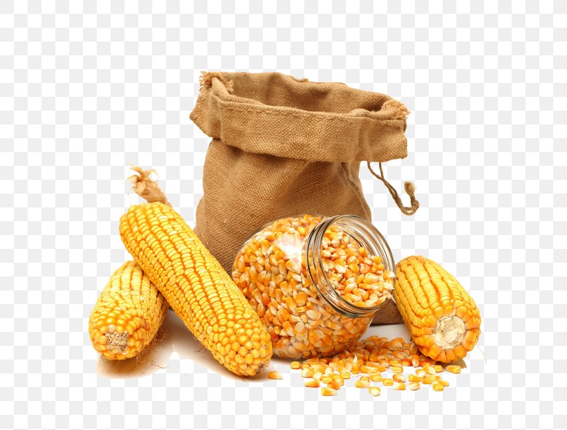 Maize Corn On The Cob Sweet Corn Corn Kernel Grain, PNG, 658x622px, Corn Soup, Agriculture, Biscuit, Colour Sorter, Commodity Download Free