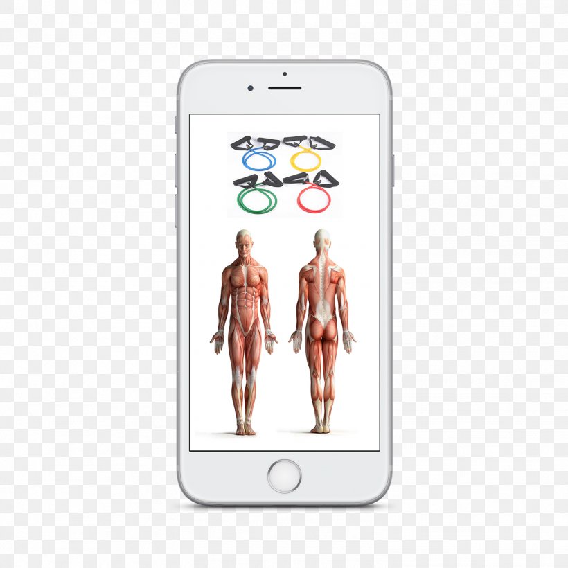 Soft-tissue Sarcoma Soft Tissue Smartphone Cancer, PNG, 1502x1502px, Softtissue Sarcoma, Cancer, Communication Device, Electronic Device, Gadget Download Free