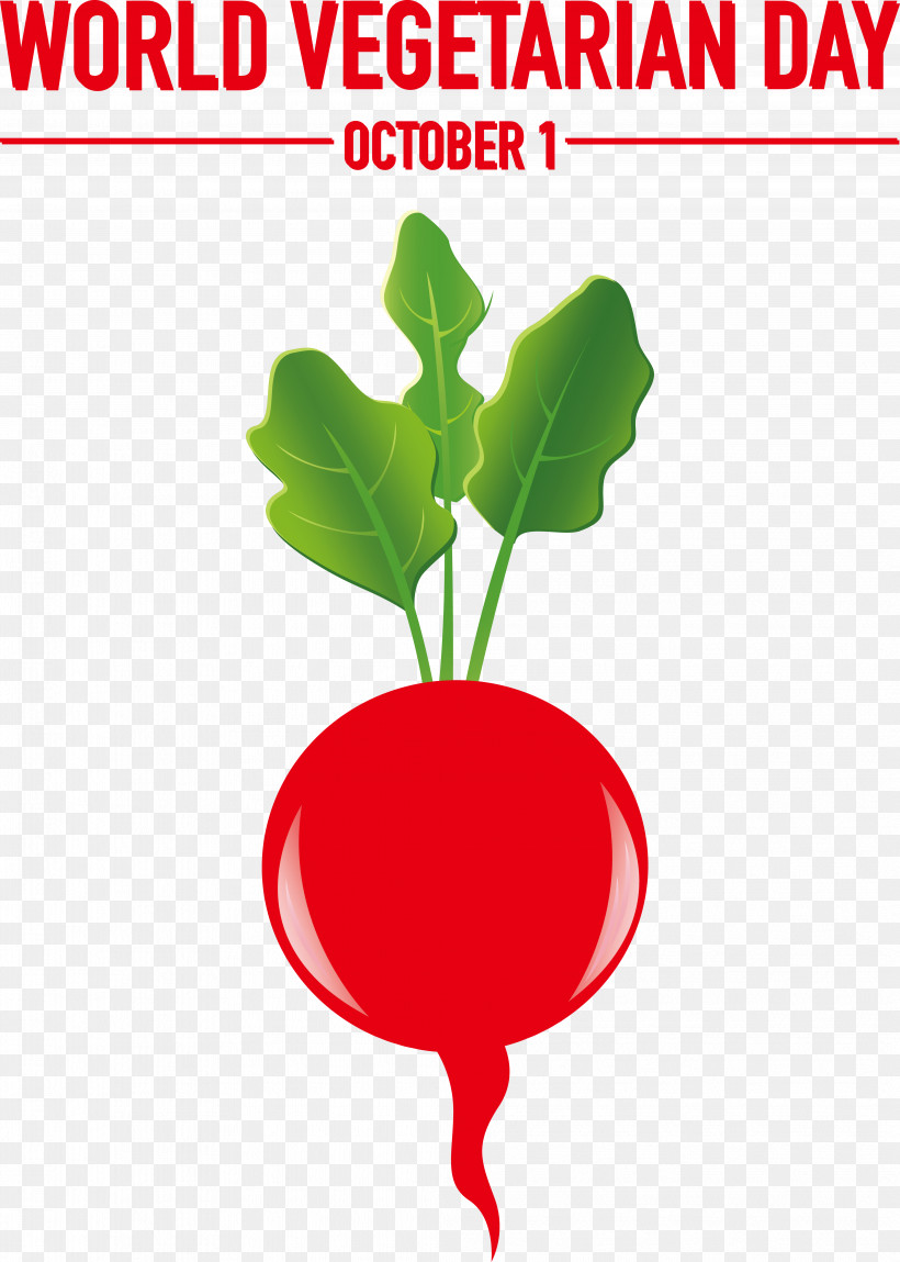 Vegetable Leaf Radish Tree Line, PNG, 4137x5798px, Vegetable, Biology, Fruit, Geometry, Leaf Download Free