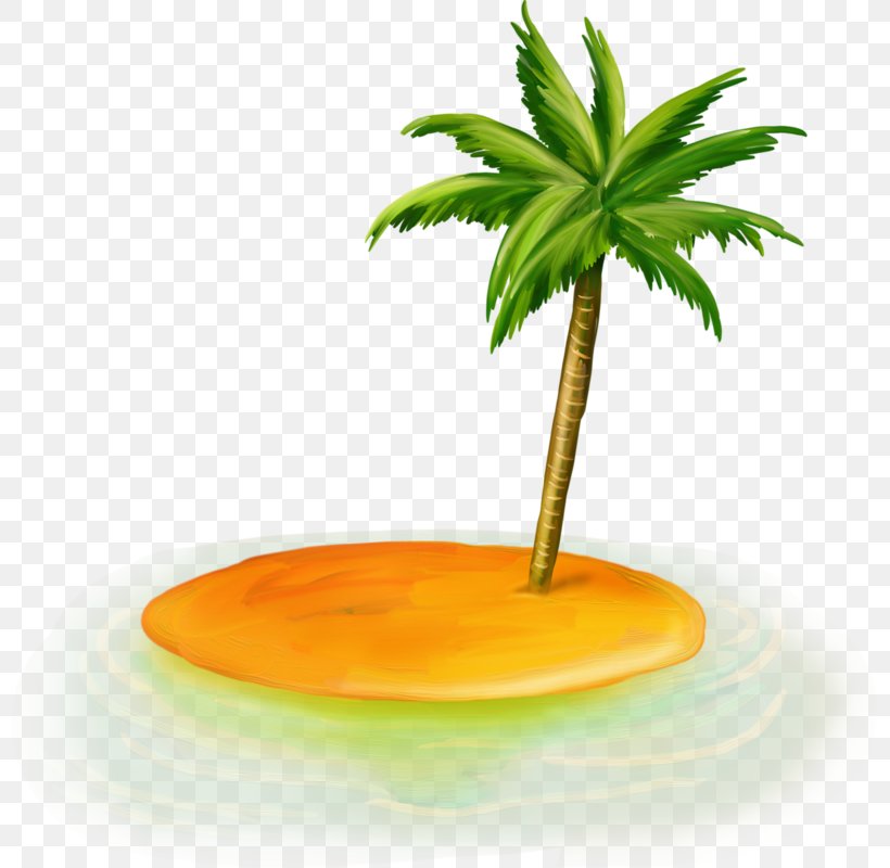 Date Palm Arecaceae Sea Clip Art, PNG, 799x800px, Date Palm, Arecaceae, Arecales, Digital Image, Food Download Free