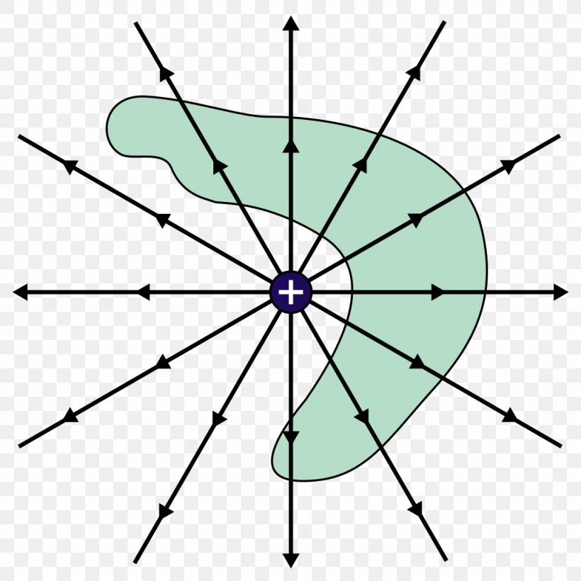 Gauss's Law Electric Charge Physicist Electric Field Electric Flux, PNG, 1024x1024px, Electric Charge, Area, Carl Friedrich Gauss, Divergence Theorem, Electric Field Download Free