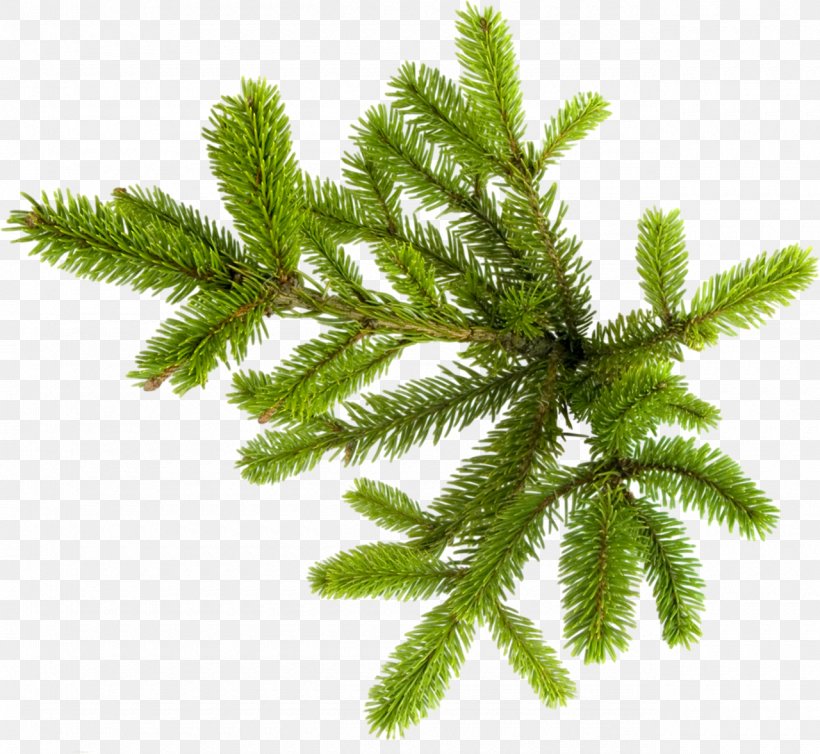 New Year Tree Spruce Photography Clip Art, PNG, 1280x1178px, New Year Tree, Biome, Branch, Collage, Conifer Download Free