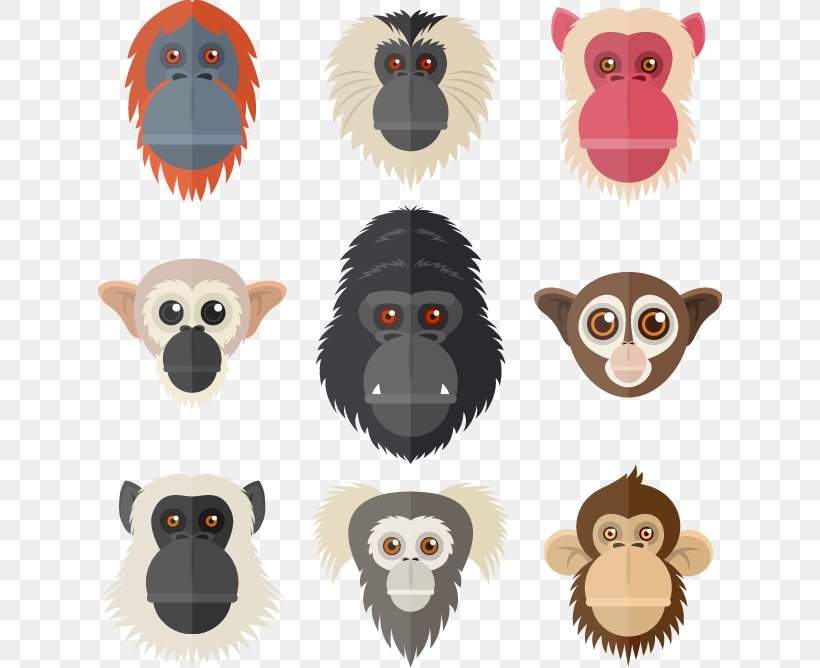 Primate Lemur Gorilla Orangutan, PNG, 624x668px, Primate, Cartoon, Chimpanzee, Clip Art, Monkey Download Free