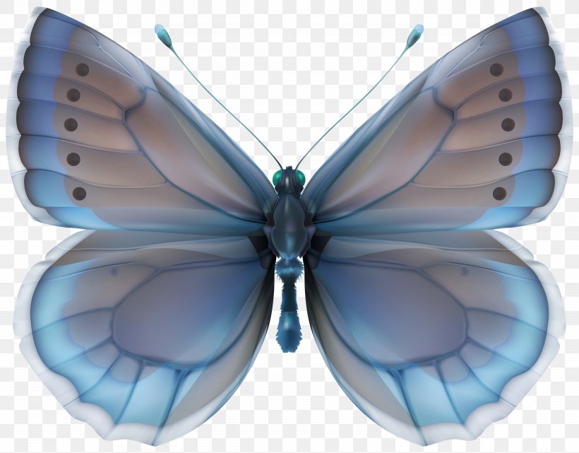 Butterfly Desktop Wallpaper Clip Art, PNG, 5000x3910px, Butterfly, Art, Arthropod, Blue, Brush Footed Butterfly Download Free