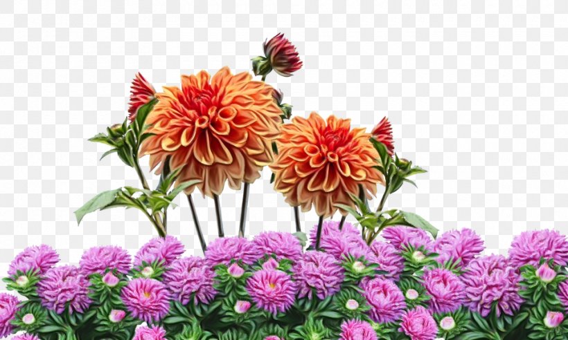 Cut Flowers Dahlia Chrysanthemum Floral Design, PNG, 960x576px, Flower, Agriculture, Annual Plant, Artificial Flower, Chrysanthemum Download Free