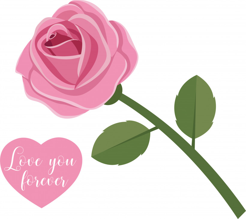 Garden Roses, PNG, 3923x3504px, Garden Roses, Cabbage Rose, Cut Flowers, Floral Design, Flower Download Free