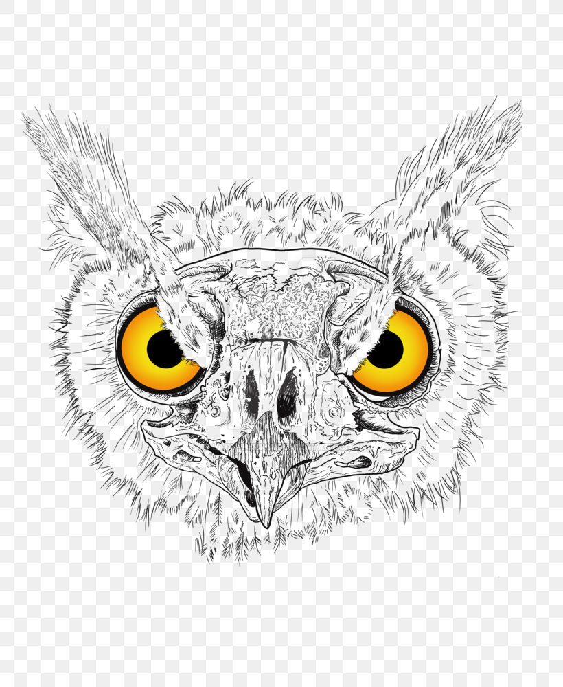 Owl Beak Eagle Cartoon, PNG, 800x1000px, Owl, Animated Cartoon, Beak, Bird, Bird Of Prey Download Free