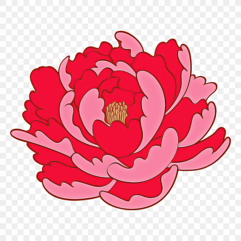 Pink Petal Flower Red Plant, PNG, 1200x1200px, Pink, Aquatic Plant, Flower, Lotus Family, Magenta Download Free