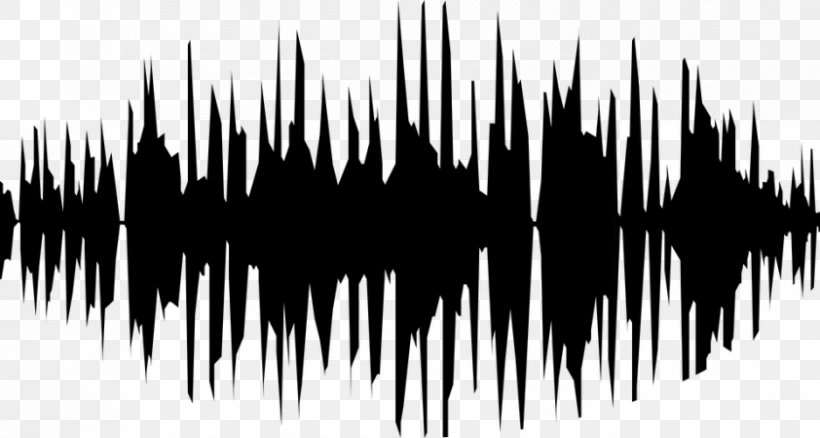 Acoustic Wave Sound Clip Art, PNG, 842x450px, Acoustic Wave, Black And White, Grass, Monochrome, Monochrome Photography Download Free