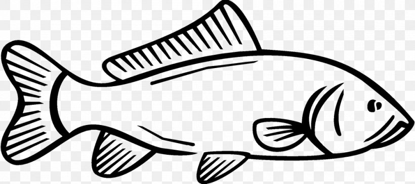 Carp Drawing Sticker Logo Clip Art, PNG, 1000x446px, Carp, Artwork, Black, Black And White, Carp Fishing Download Free