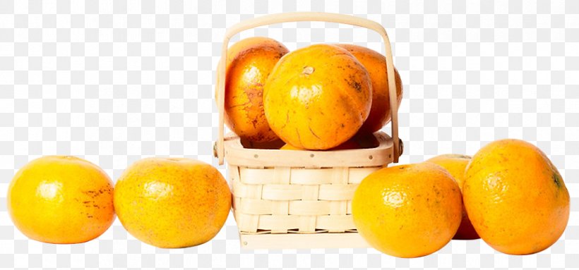 Clementine Mandarin Orange Tangerine Tangelo Lemon, PNG, 862x403px, Clementine, Citric Acid, Citrus, Diet, Diet Food Download Free