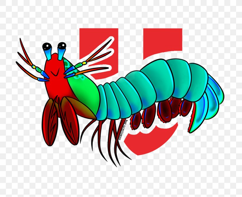Lobster Mantis Shrimp Odontodactylus Scyllarus Clip Art, PNG, 768x668px, Lobster, Art, Arthropod, Cartoon, Comics Download Free
