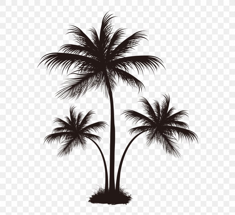 Arecaceae Coconut Tree, PNG, 1806x1651px, T Shirt, Arecaceae, Arecales, Black And White, Borassus Flabellifer Download Free