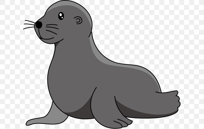 Baby Sea Lion Elephant Seal Clip Art, PNG, 633x521px, Sea Lion, Art, Baby Sea Lion, Black And White, California Sea Lion Download Free