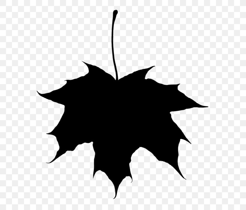 Black & White, PNG, 642x699px, Black White M, Autumn, Autumn Leaf Color, Black M, Blackandwhite Download Free