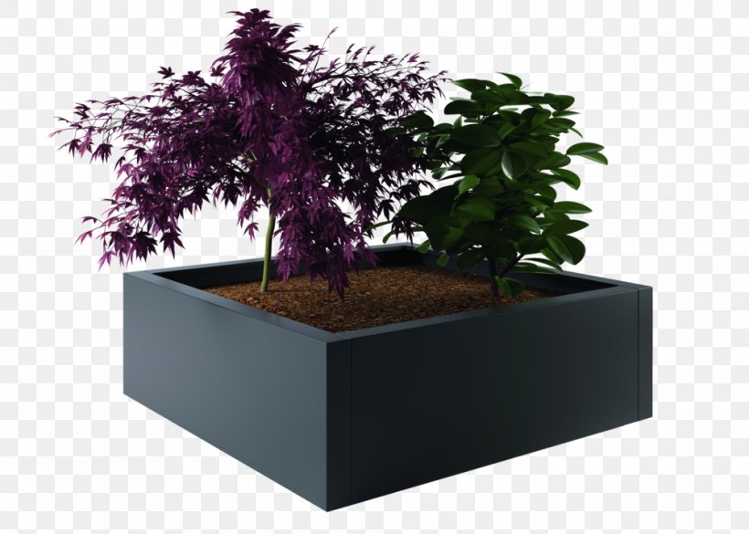 Bonsai Flowerpot Tree, PNG, 1000x714px, Bonsai, Flowerpot, Houseplant, Plant, Purple Download Free