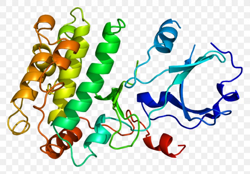 Ca2+/calmodulin-dependent Protein Kinase Gene, PNG, 871x605px, Calmodulin, Area, Art, Artwork, Body Jewelry Download Free