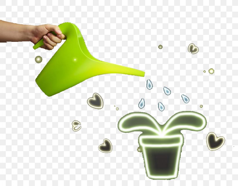 Flowerpot Water Download, PNG, 1024x800px, Flowerpot, Bonsai, Electric Kettle, Gratis, Green Download Free