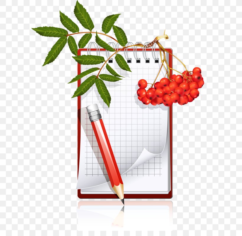 Paper Pen Writing Homework, PNG, 608x800px, Paper, Advertising, Animation, Document, Floral Design Download Free