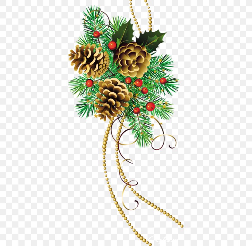Christmas Tree Branch, PNG, 375x800px, Christmas Day, Branch, Christmas, Christmas Decoration, Christmas Eve Download Free