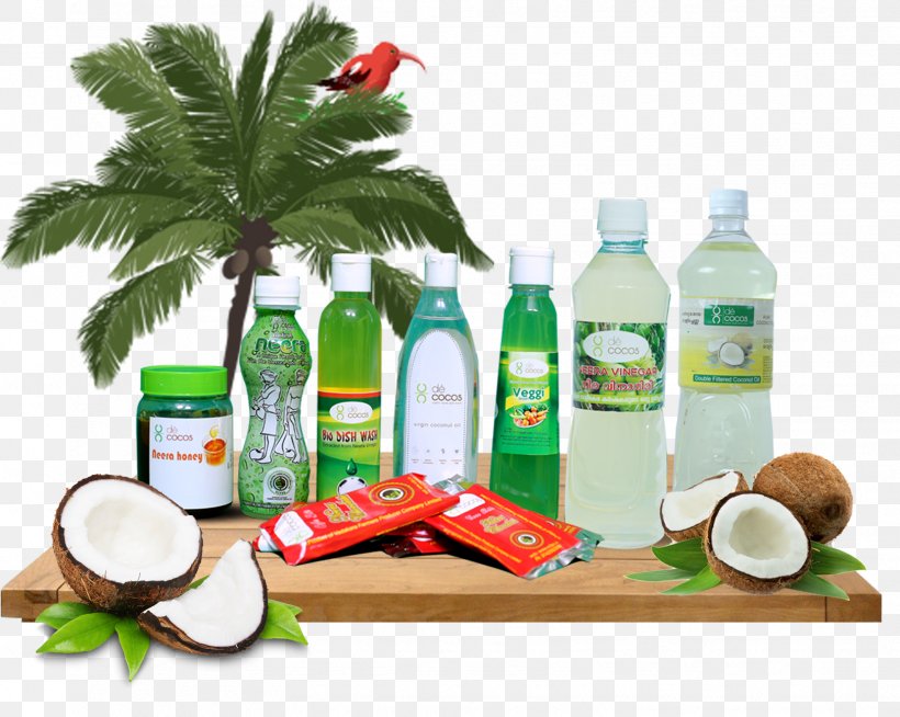 Coconut Milk Coconut Oil Drink Food, PNG, 1621x1294px, Coconut Milk, Agriculture, Chocolate, Coconut, Coconut Oil Download Free