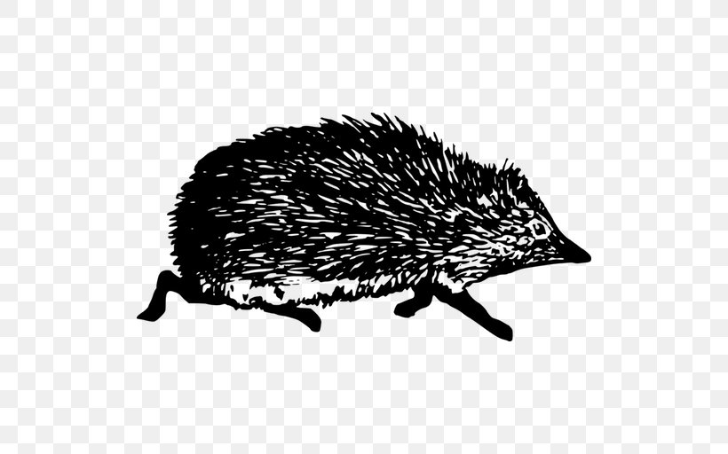 Domesticated Hedgehog Echidna Black And White, PNG, 512x512px, Domesticated Hedgehog, Animal, Art, Black And White, Echidna Download Free