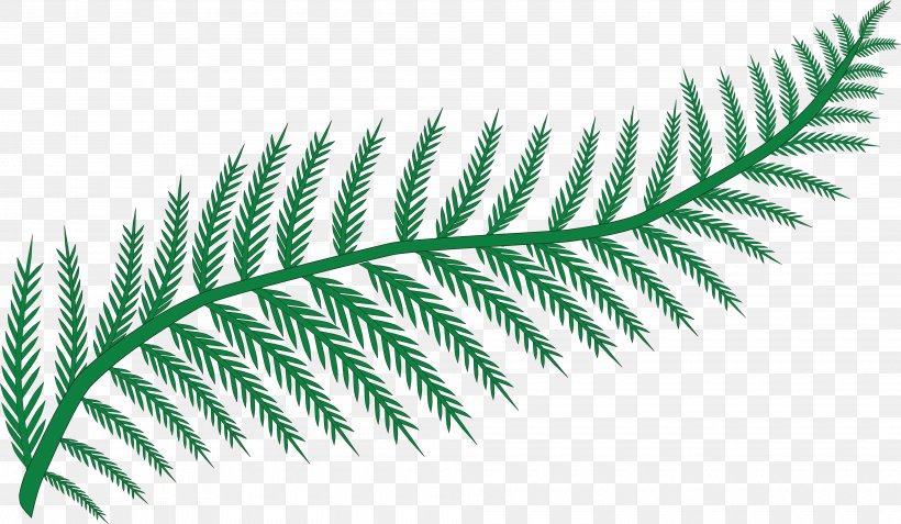 Fern Plant Frond Leaf Clip Art, PNG, 4000x2331px, Fern, Botany, Branch, Ferns And Horsetails, Frond Download Free