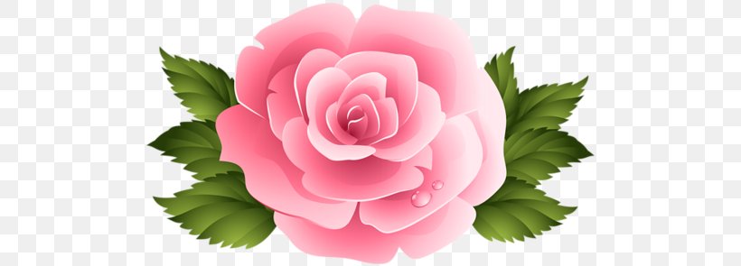 Rose Flower Pink Clip Art, PNG, 500x295px, Rose, Black Rose, Cut Flowers, Flower, Flower Bouquet Download Free