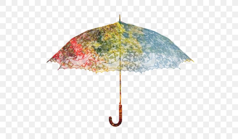Umbrella, PNG, 640x480px, Umbrella Download Free