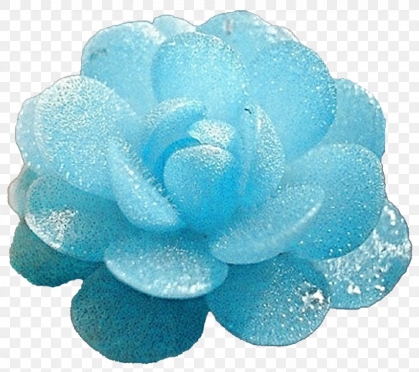 Blue Ice Succulent Plant Turquoise, PNG, 1024x908px, Blue, Aqua, Azure, Blue Ice, Deviantart Download Free