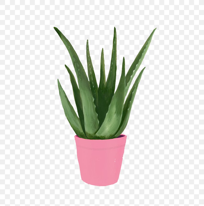 Cat Paper Art Drawing Illustration, PNG, 583x827px, Cat, Agave, Aloe, Art, Cactaceae Download Free