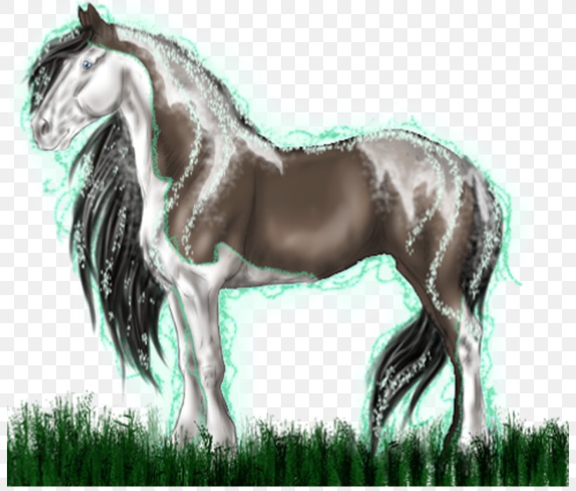 Mane Mustang Stallion Foal Mare, PNG, 800x699px, Mane, Bridle, Fauna, Foal, Grass Download Free